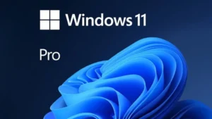 Microsoft Windows 11 Pro (PC Key)
